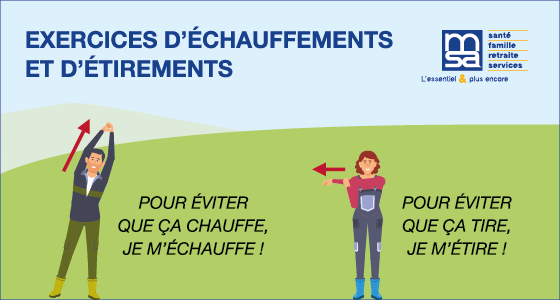 flyer-msa-exercices-echauffements-etirements